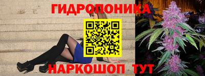 бошки Кудрово