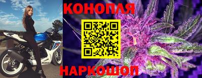 прущий лед Кузнецк