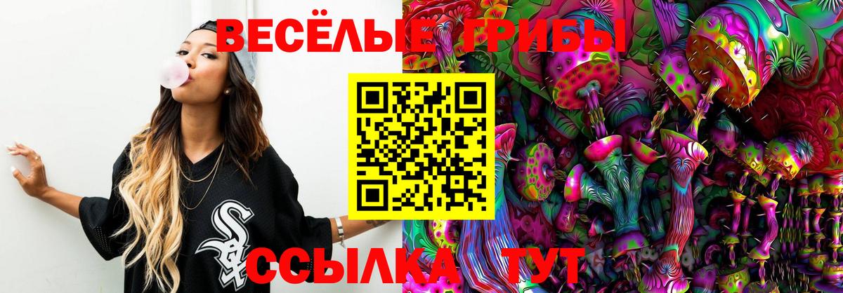 Псилоцибиновые грибы мухоморы Амурск